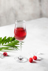 Berry alcoholic cocktail liqueur, vodka, ice and mint. Refreshing cool drink, berry liqueur or red alcoholic cocktail.