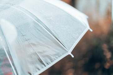 Walk in the spring rain. Close-up of a transparent umbrella in rainy cold weather