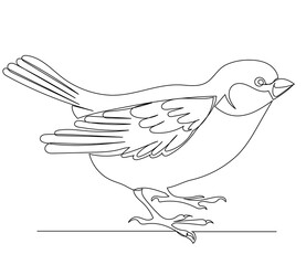 sparrow drawing one continuous line isolated, vector