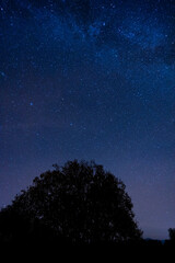 Fototapeta premium night sky near High Tatras, Slovakia