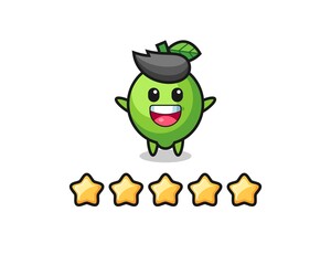 the illustration of customer best rating, lime cute character with 5 stars