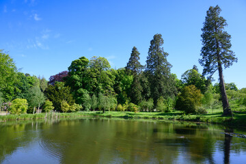 Relaxing calm lake with backdrop of green trees