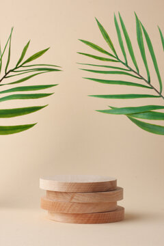Cosmetic background with wooden podium and palm leaves on pastel beige. Empty showcase for cosmetic product presentation.