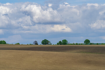 Fototapeta na wymiar Plowed field on hills, Ukraine