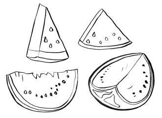 Fototapeta premium Watermelons linear drawing elements set. Template for decorating designs and illustrations.