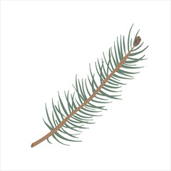 Fir tree branch with pine cone, hand drawn vector illustration, modern colored clipart of christmas tree isolated on white background