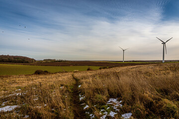 wind turbines in the field