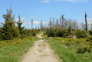 path in the mountains