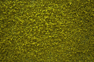Green nature wall  textured background
