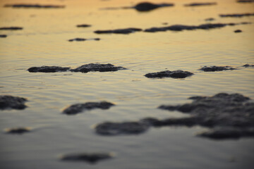 Sea foam close up with reflection of sky colors