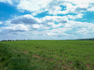 Green agricultural field against blue cloudy sky in Oedheim, Germany