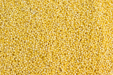 millet groats close-up, top view
