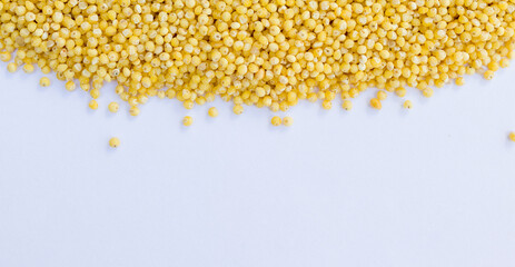 golden millet close up with copy space