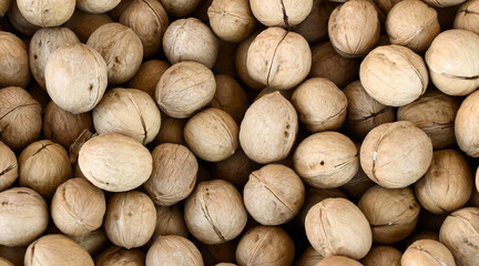 walnut in a whole shell for background, close-up