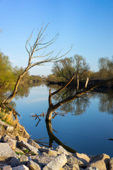 Idyllic view of a river at sunset with trees. 