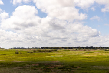 Fototapeta premium a shot of a blue sky with white cumulus clouds in the sky and in the foreground is a green large meadow. clouds cast a shadow on the grass. 