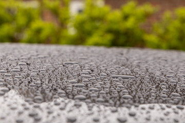 Obraz premium on a black shiny background there are many raindrops. Detail of water drops shining in the sunlight. 