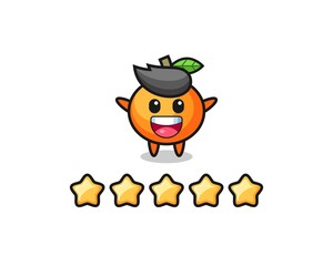 the illustration of customer best rating, mandarin orange cute character with 5 stars