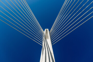 Low angle view of cable-stayed bridge