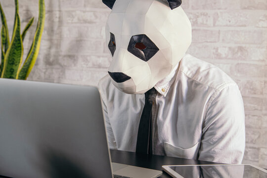 Unrecognizable businessman in panda mask against laptop in office