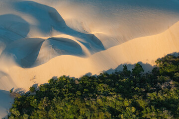 Dunas movimentadas pela força do vento sufocando áreas de floresta nativa em Camocim no Ceará, Nordeste, Brasil