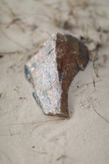 Close-up of a stone on a sandy shore