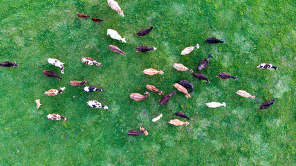 Aerial nature cloud landscapes