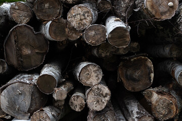 stack of firewood