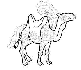 Contour linear illustration with animal for coloring book. Cute camel, anti stress picture. Line art design for adult or kids  in zentangle style and coloring page.