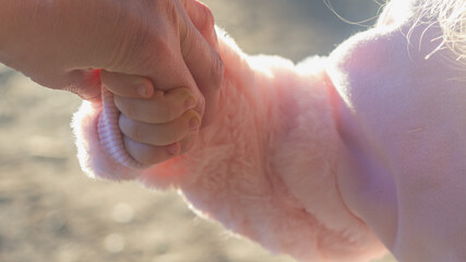Mother leads her daughter by the hand, the child holds the hand, the concept of family unity