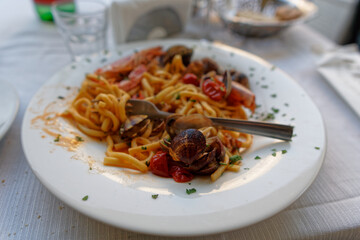italian fresh pasta called scialatiello with clam and shell