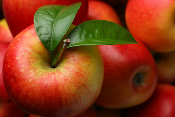 Tasty red apples on whole background, close up and selective focus