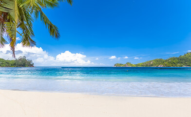 Plage paradisiaque sous les cocotiers aux Seychelles 