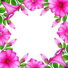 Summer square floral frame with watercolor pink petunia flowers and buds.Natural decorative template,on white background.