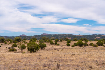Open empty land in arizona