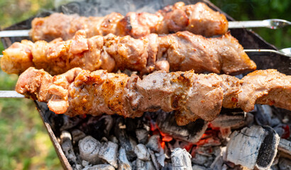 Grilling barbecue close-up, coals, smoke.