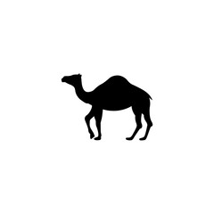Black icon camel sign. Vector illustration eps 10