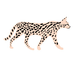 Leopard or cheetah exotic animal.  Cute cartoon character. Vector wild cat  isolated on white background. Perfect for kids app, game, book, print, cards, sticker.