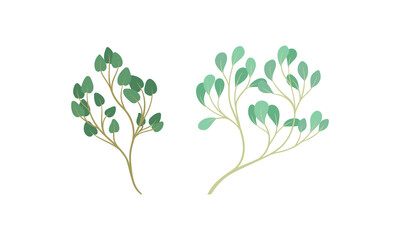 Sprigs and Twiglets with Green Leaves as Botanical Foliage Vector Set