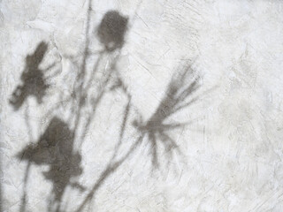 Abstract nature of leaves shadows and  blurred background  reflect over concrete walls,can place your mock up or design here