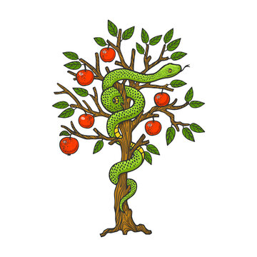 biblical serpent snake on apple tree color line art sketch engraving vector illustration. T-shirt apparel print design. Scratch board imitation. Black and white hand drawn image.
