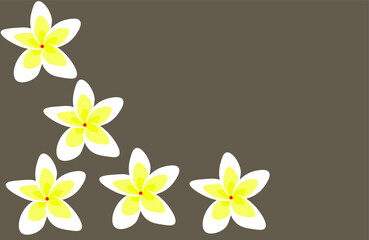 Plumeria flower petals in brown background.