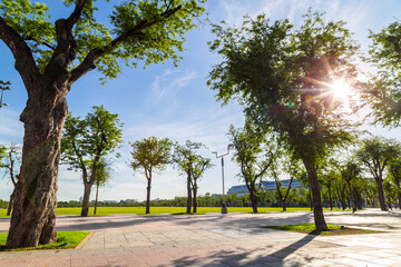 Beautiful morning light in public park with green grass field.