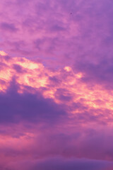 Evening sky in pink, lilac, purple, violet, magenta, crimson, burgundy, scarlet shades with cumulus clouds