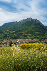 Vue sur le village de Buis-les-Baronnies devant le Rocher Saint Julien dans la Drôme Provençale