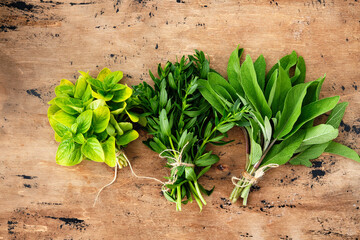 Fresh herbs from garden, on wooden rustic background. Copy space.
