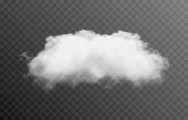 Foto op Canvas Vector cloud or smoke on an isolated transparent background. Cloud, smoke, fog, png. © Vitaliy