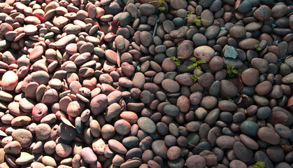 Natural colored pink pebble stones with radial sunlight. Rock abstract pattern texture background....