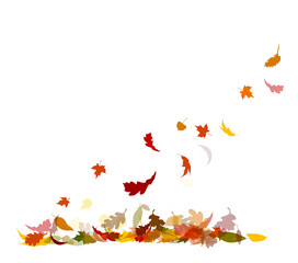 Abstraction of autumn leaves. Background from autumn leaves. Vector illustration