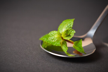 Close up to Fresh mint herb brunch served on metal stainless steel spoon on dark background. Single food ingredient. Peppermint leaves in serving spoon. Copy space image
